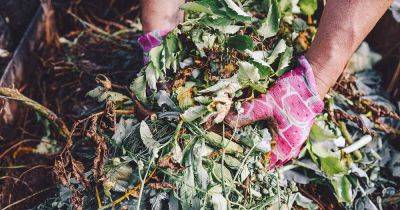 Can You Compost Diseased Plants? - gardenerspath.com - state Ohio