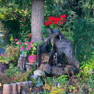 An Unexpected Garden - finegardening.com - state Illinois - county Lake
