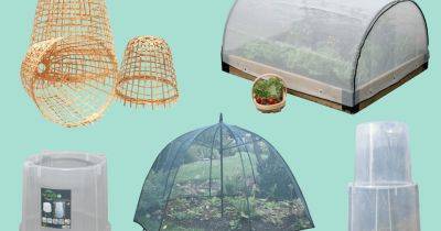 The best garden cloches and tunnels - gardenersworld.com