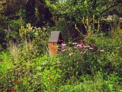Leave Gardens Wild With Natural Landscaping Ideas - gardeningknowhow.com