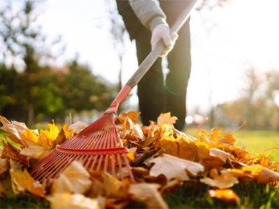 You’ve Been Raking The Leaves Wrong – Here’s The Right Way - gardeningknowhow.com