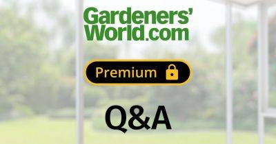 Monthly Q&A - November 2023 - gardenersworld.com