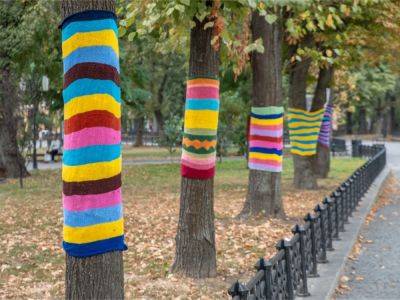 Yarn Bombing: What’s The Deal With Knitting On Trees? - gardeningknowhow.com - Mexico