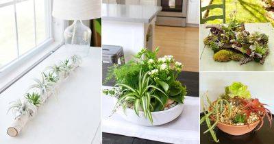 22 Beautiful Tabletop Garden Ideas for Your Home - balconygardenweb.com