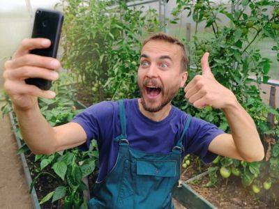 Scroll Past These 7 Gardening Trends On Social Media - gardeningknowhow.com