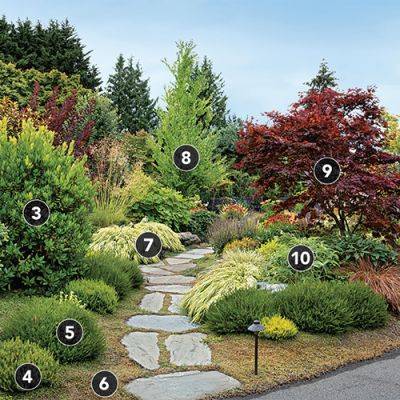 An Alluring Design for a Lawnless Front-Yard Garden: Plant IDs - finegardening.com
