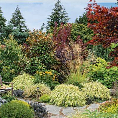 An Alluring Design for a Lawnless Front-Yard Garden - finegardening.com - Washington