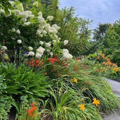 GPOD on the Road: Return to the Bellevue Botanic Garden - finegardening.com - state Washington - county Garden