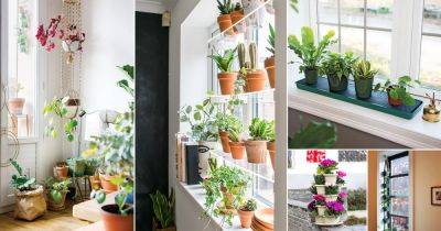 Grow More Plants on a Windowsill | 11 Genius Ideas to Create Space - balconygardenweb.com