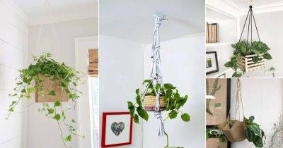 18 DIY Pothos Hanging Basket and Hanger Ideas - balconygardenweb.com