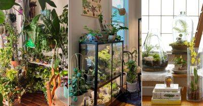 10 Ideas to Create Your Own Air-Purifying Station with Indoor Plants - balconygardenweb.com