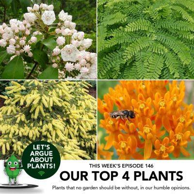 Episode 146: Best of LAAP: Our Top 4 Plants - finegardening.com - Norway - state New Jersey