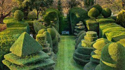 Topiary: how to get it right | House & Garden - houseandgarden.co.uk - county Park