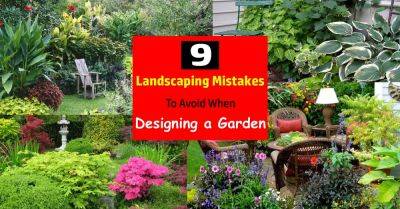 10 Landscaping Mistakes To Avoid When Designing a Garden - balconygardenweb.com