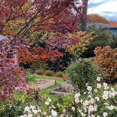 Fall in Kris’s Garden - finegardening.com - Japan - state Pennsylvania - state Arkansas