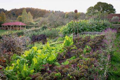 Sarah Raven’s November Notes from Perch Hill - theenglishgarden.co.uk - Usa - county Sussex