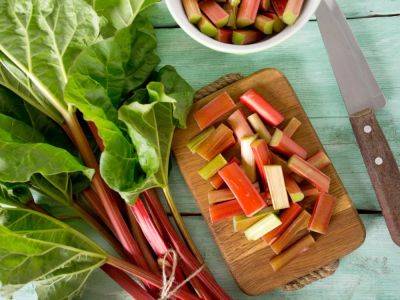 How To Store Rhubarb & Preserve After Picking - gardeningknowhow.com