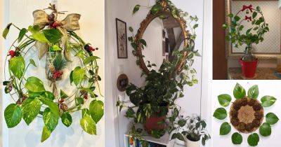 15 Beautiful DIY Pothos Wreath Ideas - balconygardenweb.com