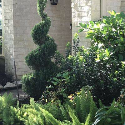 Front Yard Landscaping in Texas - finegardening.com - Japan - state Texas