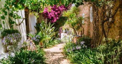 Gardens to visit in Ibiza - gardenersworld.com