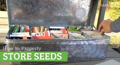 Seed Storage: Options and Tips for Your Seed Packet Collection - savvygardening.com