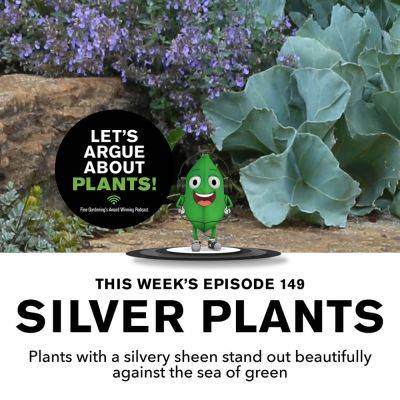 Episode 149: Silver Plants - finegardening.com - state Connecticut