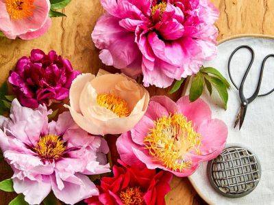 Peony Is the 2024 Flower of the Year, According to 1-800-Flowers - bhg.com