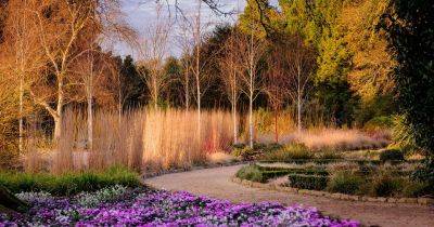 2-for-1 Gardens – Winter wonders - gardenersworld.com - state Indiana - county Sussex - county Park