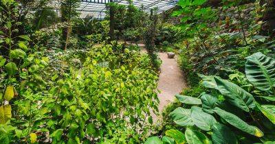 What Are Underground Pit Greenhouses? - gardenerspath.com - China