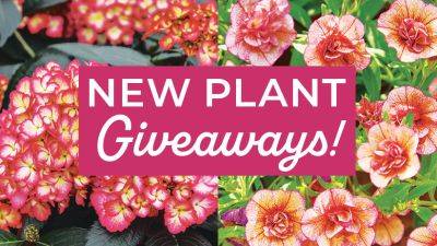 Enter Our 2024 New Plant Giveaways! - gardengatemagazine.com