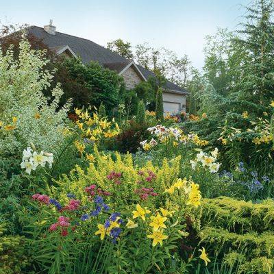 Deep Borders Let You Have It All: Plant IDs - finegardening.com - state Michigan - state Minnesota
