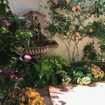 Kathy’s Calabasas Garden - finegardening.com - China - state California
