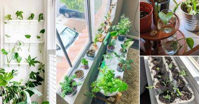 20 Indoor Window Propagation Station Ideas - balconygardenweb.com