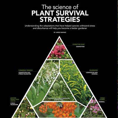 How to Use the Science of Plant Survival Strategies for a Healthier Garden - finegardening.com - state Texas