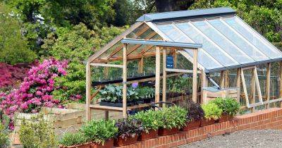Greenhouse Gardening 101: How to Get Started - gardenerspath.com