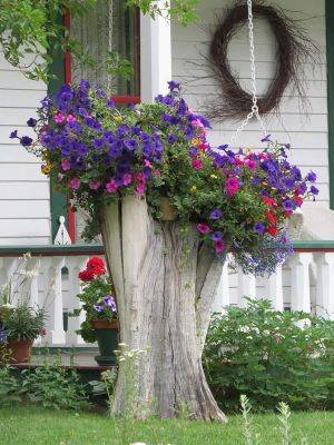 19 Blazing Tree Stump Planter Ideas that'll Impress You - balconygardenweb.com