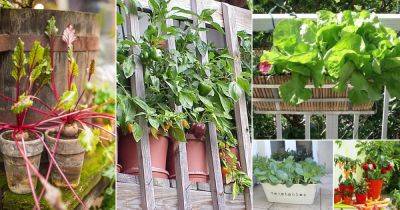 25 Easy Container Vegetables for Balcony & Rooftop Garden | Container Vegetable Gardening - balconygardenweb.com