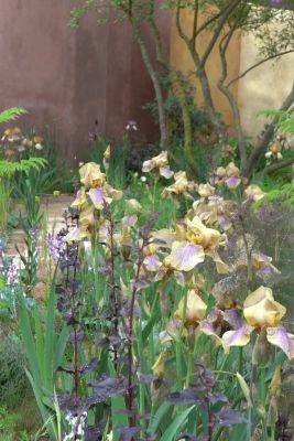7 ideas from RHS Chelsea 2023 that will really work in your garden - themiddlesizedgarden.co.uk