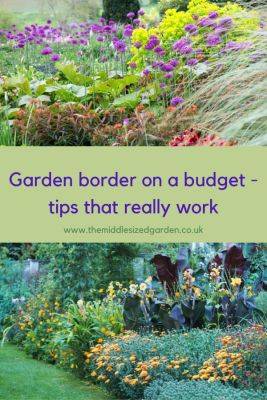 How you make a garden border on a budget – 7 really effective strategies - themiddlesizedgarden.co.uk