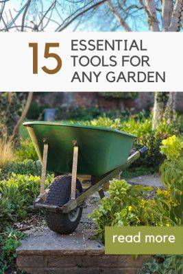 Which are the most useful garden tools? You’ll be surprised…. - themiddlesizedgarden.co.uk