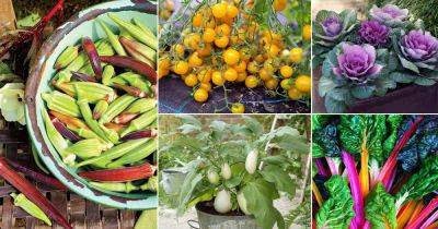 19 Most Colorful Vegetables You Need To Grow In Your Garden - balconygardenweb.com
