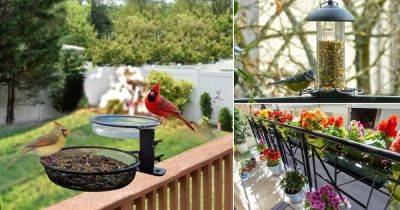 How to Invite Birds on Balcony Garden - balconygardenweb.com