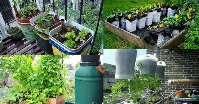 20 Best DIY Self-Watering Container Garden Ideas - balconygardenweb.com