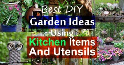 19 Best DIY Garden Ideas Using Kitchen Items & Utensils - balconygardenweb.com
