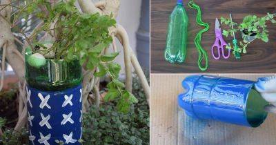 DIY Self Watering Planter Out of a Soda Bottle - balconygardenweb.com