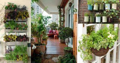 Creative Ideas for Balcony Garden Containers - balconygardenweb.com