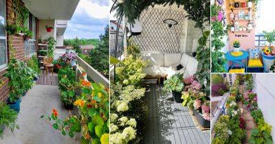 21 Fantastic Balcony Gardens of July 2022 From Instagram - balconygardenweb.com