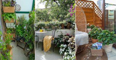 20 Best Balcony Gardens of May 2021 on Instagram - balconygardenweb.com -  Texas