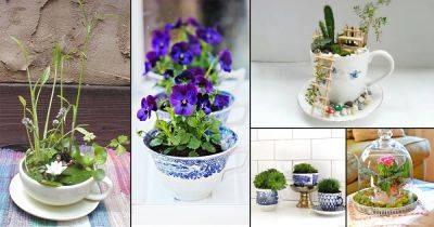 31 Super Cute DIY Teacup Garden Ideas | Creative Teacup Planters - balconygardenweb.com
