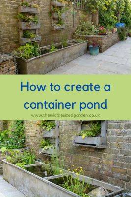 How to create a beautiful container pond to attract wildlife - themiddlesizedgarden.co.uk